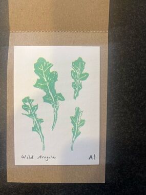 Inciardi Wild Arugula Botanical mini Print - Green